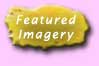 Featured Imagery